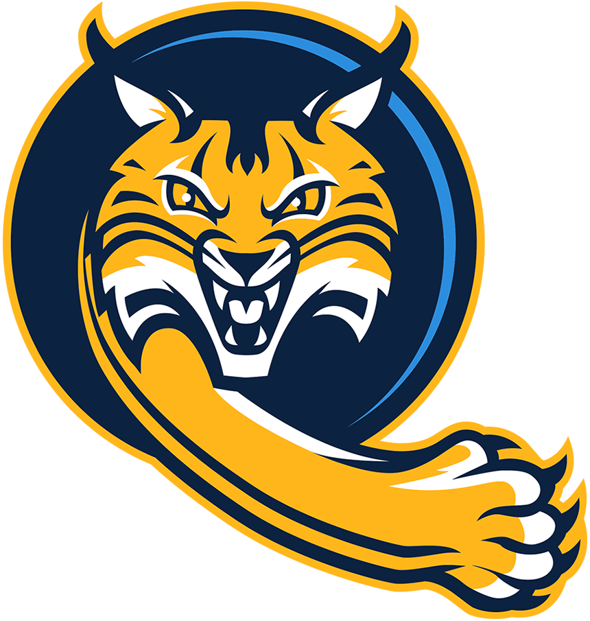 Quinnipiac Bobcats 2019-Pres Alternate Logo v4 iron on transfers for T-shirts